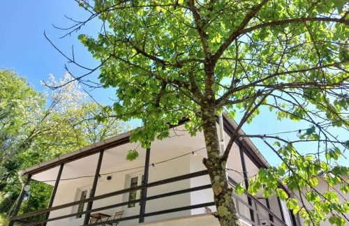 Elegant Tuscany Mountain Villa - Foto 9