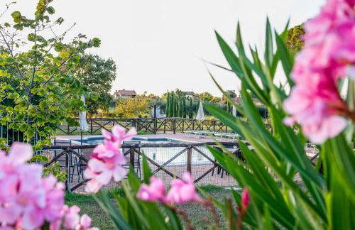 Agriturismo Cinque Novembre - Photo 31