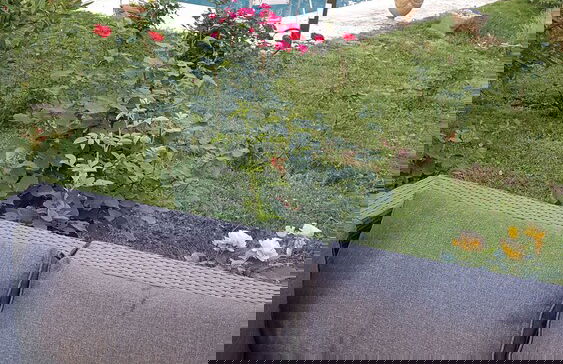 Appartement le Cluny - Foto 18