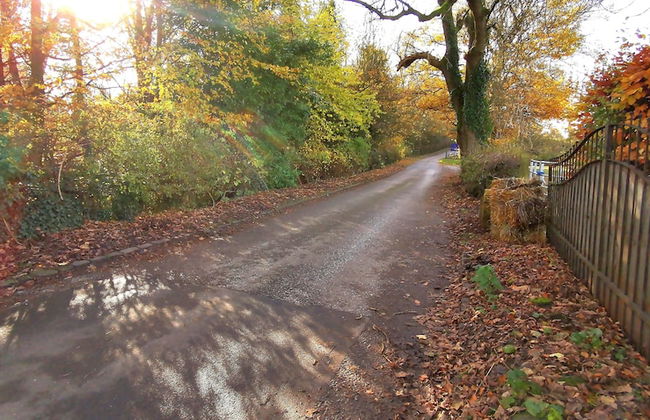 Country School Cottage near Harwood - Foto 19