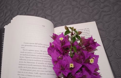 Guest House Oleandro - Foto 36