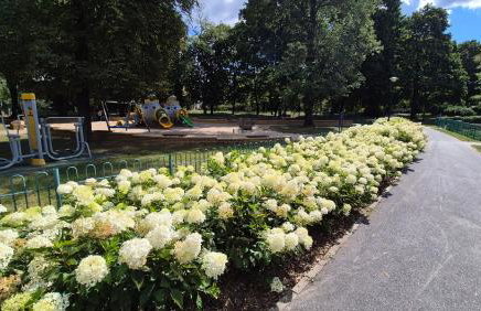 Towarowa Nature Apartment, free parking, air-conditioning, self check-in 24h - Photo 46