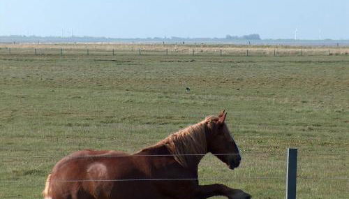 Seevilla Wietjes Whg 3 - Foto 5