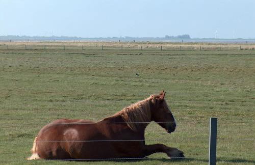Ferienhaus Nordstrand Whg 4 - Foto 29