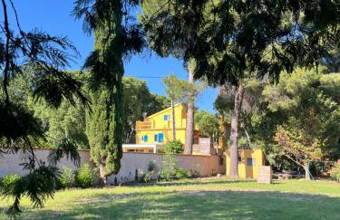 Gites de la Massane - Foto 8