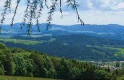 Traumblick Bayerischer Wald, Pool & Sauna, Getränke, Klimaanlage - Foto 27