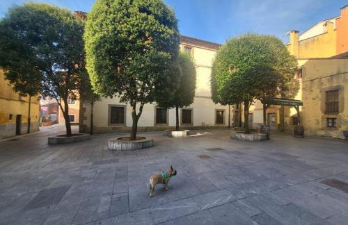 The Blue Nest - VUT7693AS - Foto 28