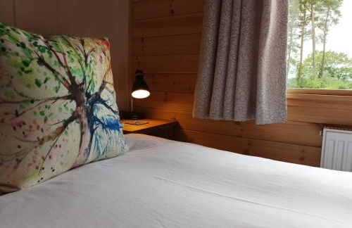 Birch Lodge, Pitlandie - Luxury 2 Bedroom Lodge with Sauna - Photo 20