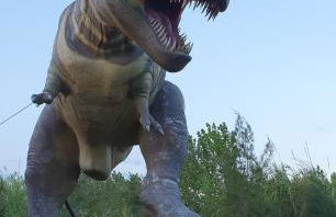 Casa de playa en Oliva al lado del MET y Campo de Golf - Photo 46