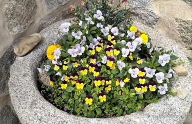 Casa Rural Abuelo Pedro - Foto 7