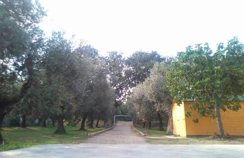 La stalla di nonno Zopito casa vacanze - Foto 23