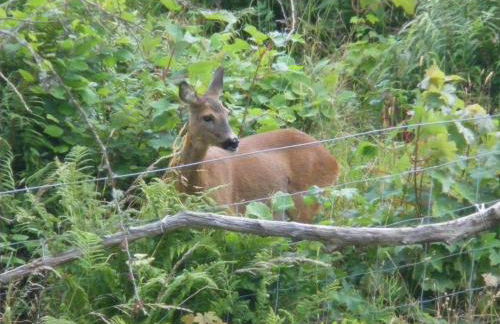 Hillview Guest House - Foto 62