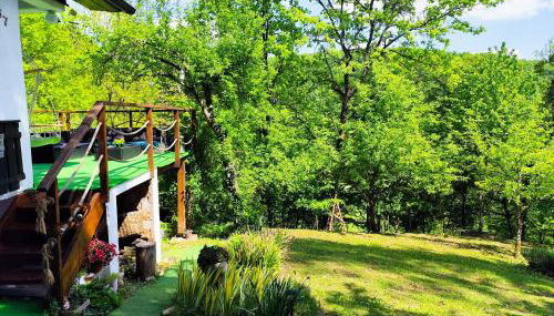 UNDER THE GREEN ROOF - Foto 3