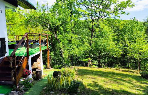 UNDER THE GREEN ROOF - Foto 3