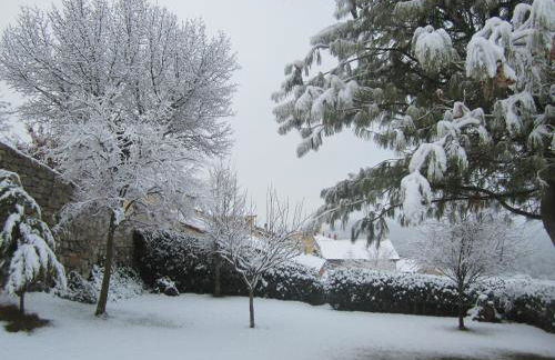 La Ladera - Photo 41