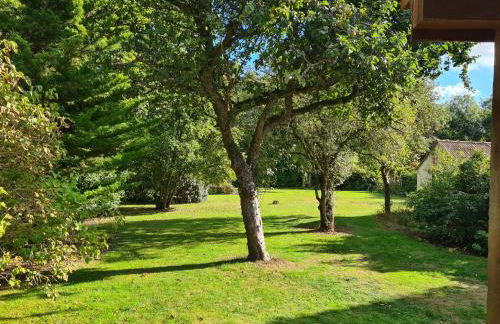 The Reading Chalet and gardens, suitable for contractors - Photo 12