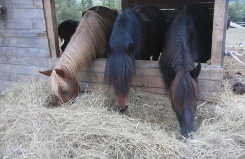 Società Agricola Cacigolara - Photo 99