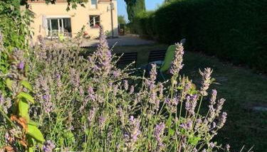 Maison village, 10 pers, proche de la plage - Foto 3