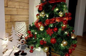 Gospic Riverside Apartment - Photo 12