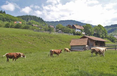 Schnurrenhof - Foto 26