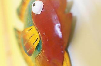 Ferienhaus Strandkorb - Foto 21