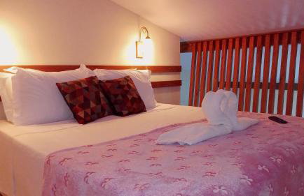 Loft Praia Parque Golfinhos - Foto 9