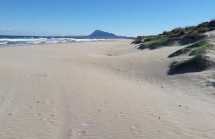 OLIVA NOVA – GOLF&BEACH CABAGUA - Photo 18