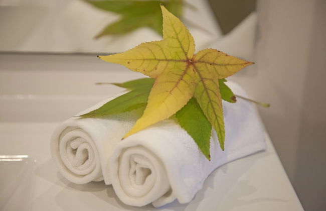 22 Hallenstein Apartments by Staysouth - Photo 39