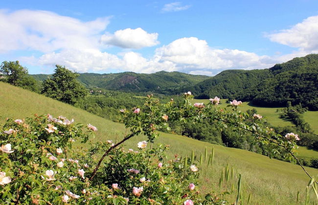 Apartment in Pennabili on Tuscan Border near Nature Park - Foto 23