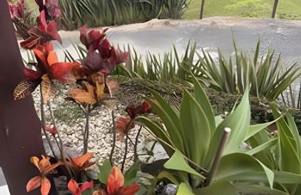 Chalé Recanto Santo Anjo - Foto 49