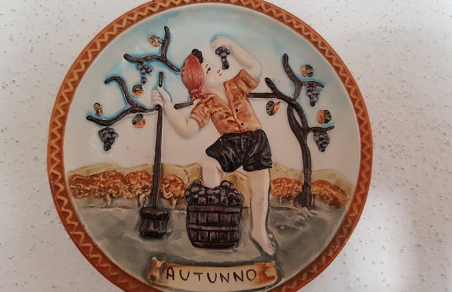 Agriturismo Bio 4 Stagioni - Photo 18