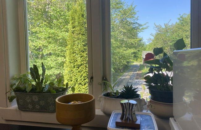 Great Location, Great Price! - Foto 10