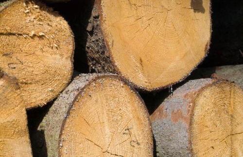 Spacious Apartment in Boddin With Garden - Foto 16