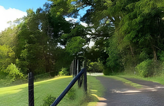 Cabañas Los Notros Puerto Varas - Photo 35