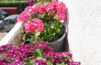 Ana Marija - Foto 32