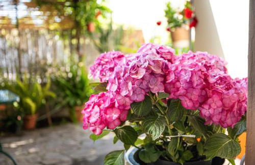 Gerani Rossi Appartamento - Foto 19