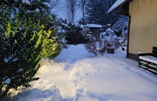 Dom w Górach Sowich Niedźwiedzia Gawra, Michałkowa - Foto 47