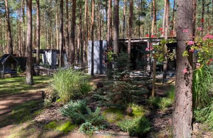 Las Biala's - Domki z sauną i jacuzzi w Puszczy Noteckiej - Tylko dla dorosłych - Foto 27