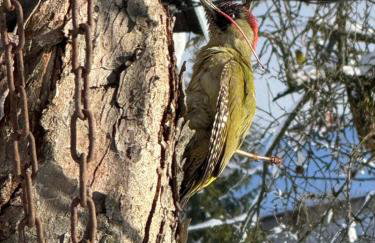 Stodółka - Foto 20