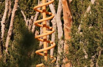Crows Nest Treehouse At El Mistico Ranch - Foto 70