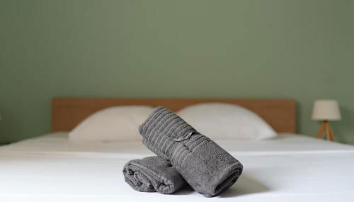 Les terrasses illuminées - T3 avec parking gratuit - Photo 5, towels