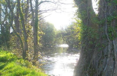 Samuel cottage - Photo 13