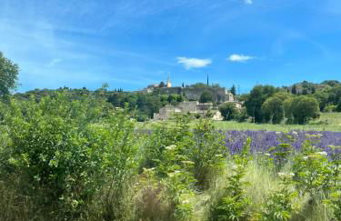 Le Mas du Bueysse - Photo 22