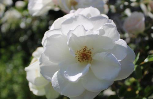 Casa da Ponta - Foto 17