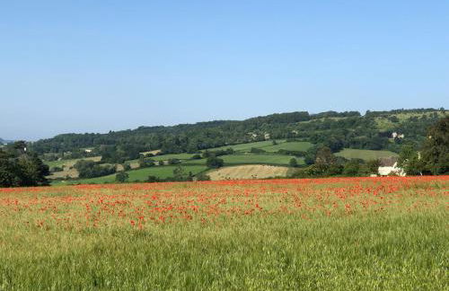 Cotswold Lodge - Foto 66