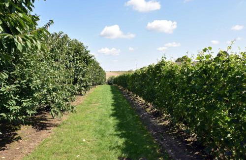 Domki w Winnicy - Świętokrzyska Winnica Knapów - Foto 19