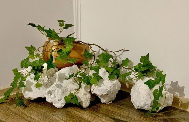 Charming Traditional House in a Pristine Location - Foto 35