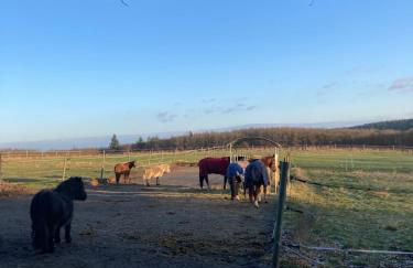 Urlaub an der Baybachklamm - Foto 9
