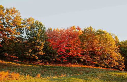 Rustic Ridge Log Cabin: Hot Tub, Games, Views! - Foto 35