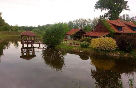 Agroturystyka Siedlisko pod dębami - Foto 17